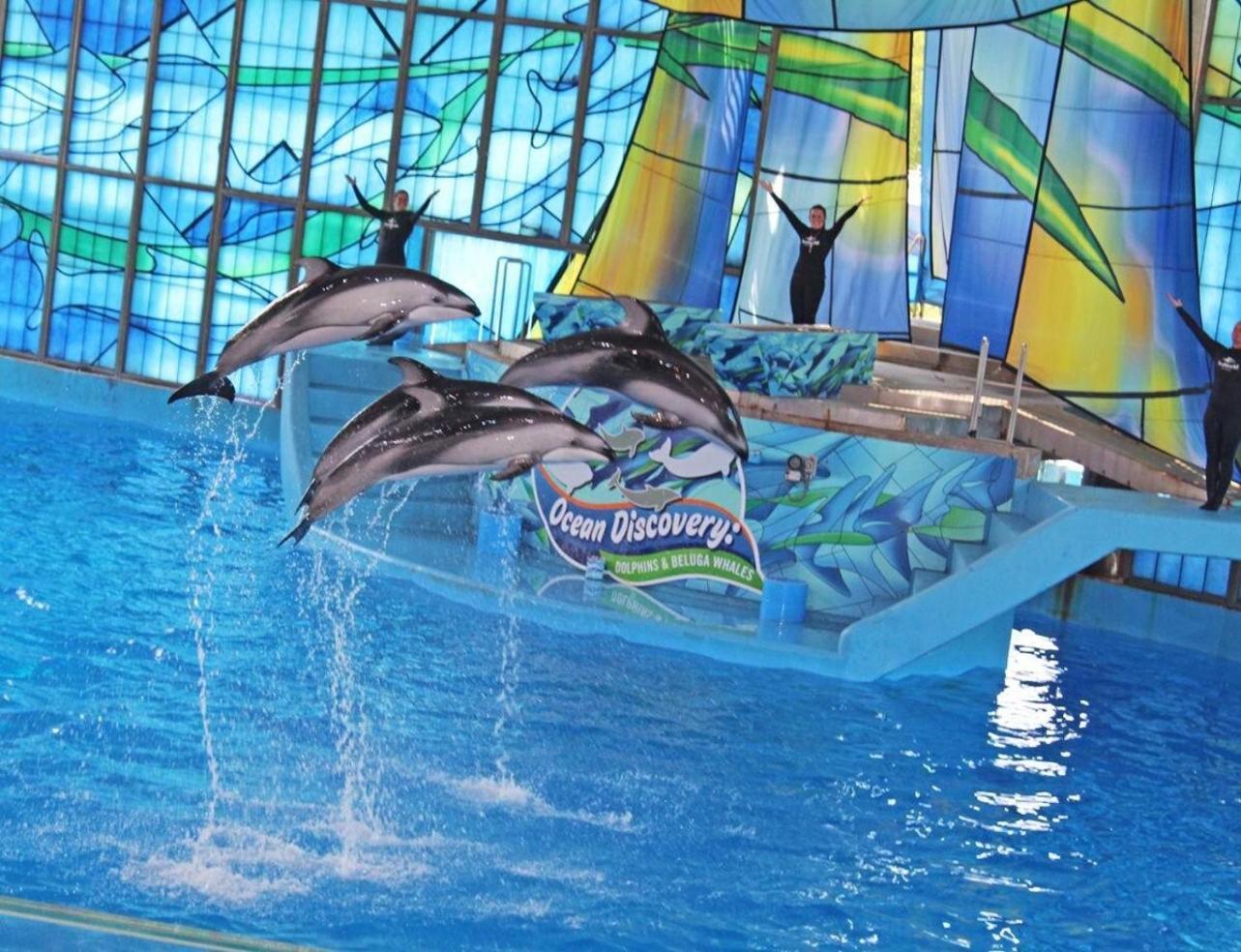 Gameroom, Bbq & Hot-Tub By Lackland & Seaworld San Antonio Exterior photo